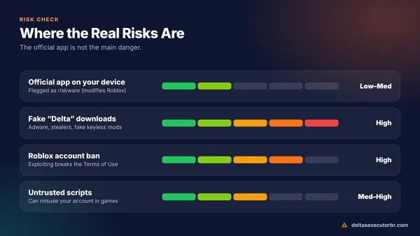 Delta Executor safety risk levels