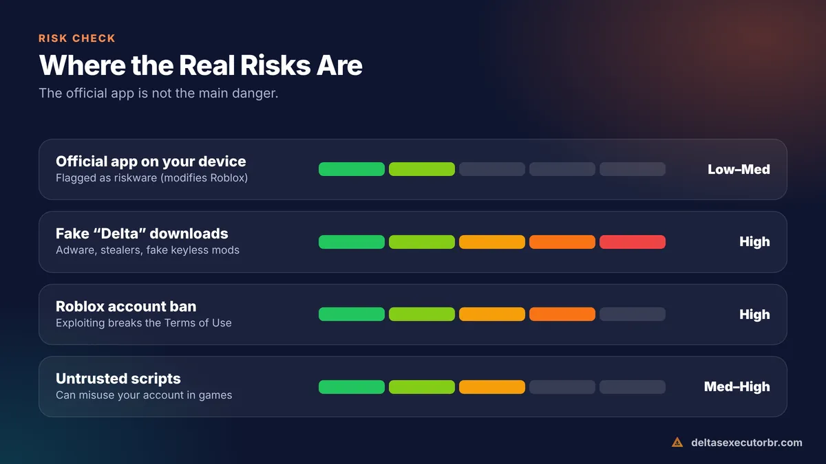 Risk meter for Delta Executor: device risk, fake download risk, account ban risk and script risk